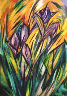 Schwertlilien im Abendlicht